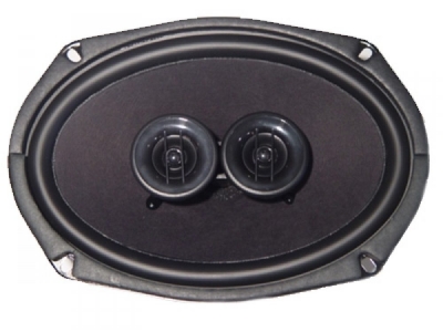 Custom Autosound 3006 DVC